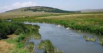 Fluss durch die Grassteppe bei Gorelovka