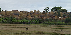 Dorf mit enormen Haufen an Reisstroh