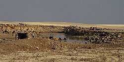 Wasserloch in der kurdischen Wüste