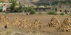 Scheiterhaufen in einem Vorort von Bitlis