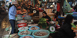 Frische Meeresfrüchte in der Markthalle