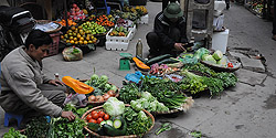 Gemüse und Kräutermarkt in einer Altstadtgasse