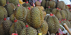 Die berühmte und berüchtigte Durian-Frucht