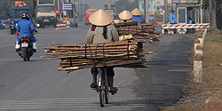 Holztransport auf Fahrrädern bei Đông Triều