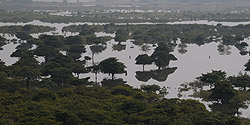 Sumpflandschaft in der Gegend von Hà Biên