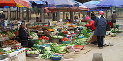 Grosser Gemüsemarkt in Khánh Yên