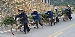 Transporte mit Velos auf dem Hộ Chí Minh