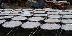 Zum Trocknen ausgelegte Maniok-Schnitzel in Kon Tum