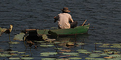 Fischer im Weissen See bei Hồng Lâm